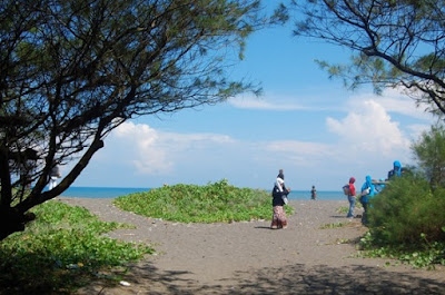 pantai tersembunyi di Jogja, pantai tersembunyi di Jogjakarta, pantai di jogja