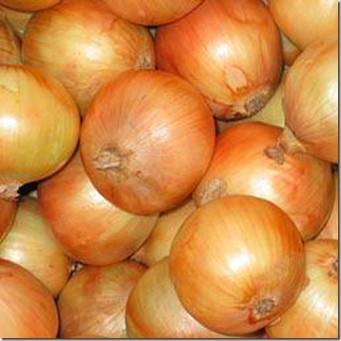 onions contamination hygiene bacteria