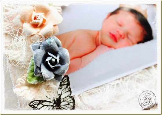 Luciana W - BAP Nov LO Alice 6