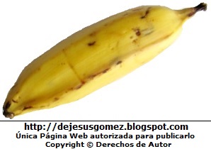 Foto de un plátano de la Isla de Jesus Gómez