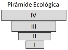 Pirâmide Ecológica