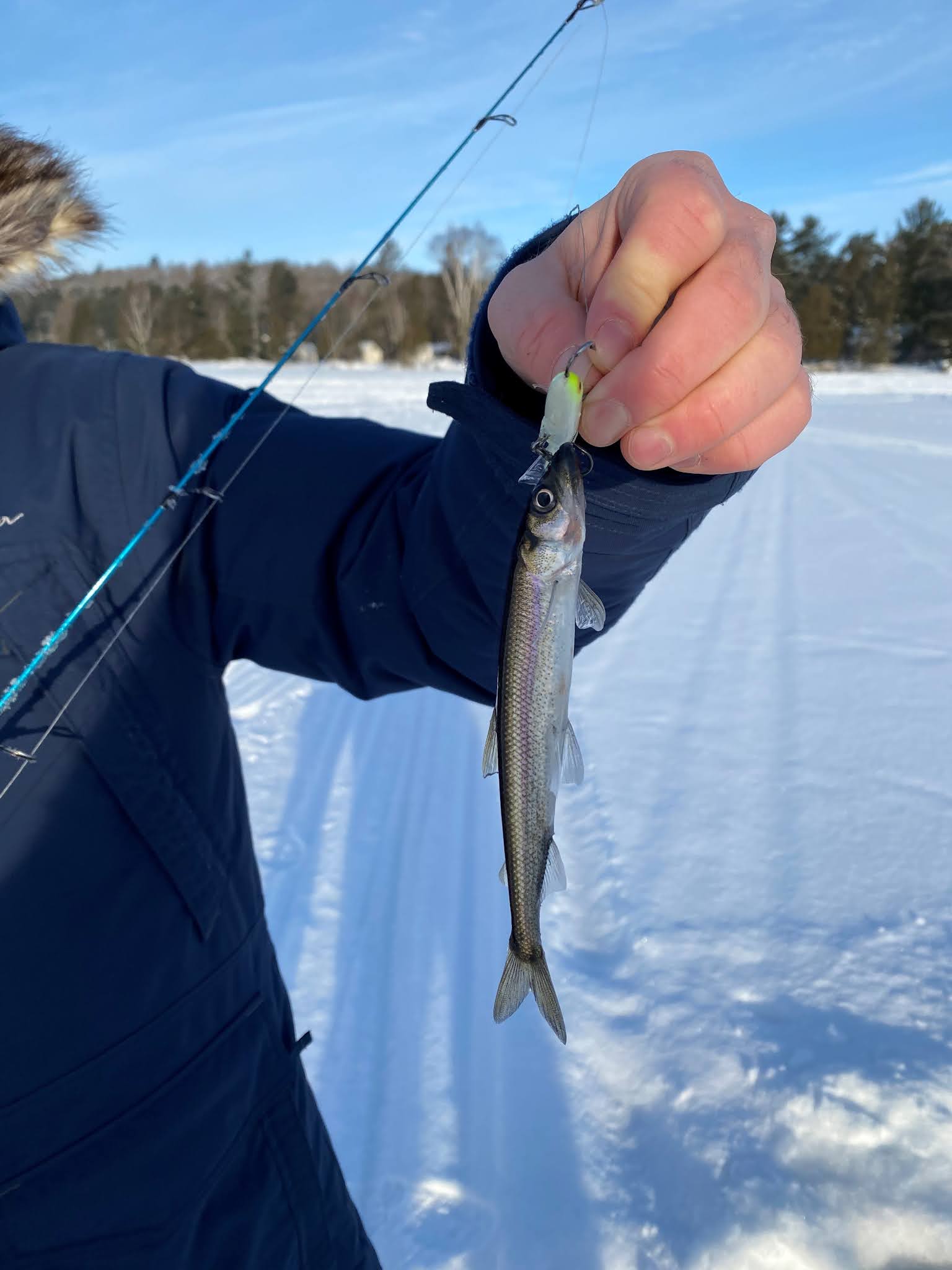 Greg Cholkan's Fishing Blog: Winter Updates: Lake Trout, Rainbow