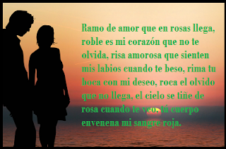 Poemas de Amor para Hombres