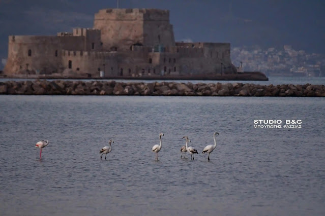 ΝΑΥΠΛΙΟ