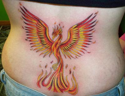 phoenix tattoo drawing