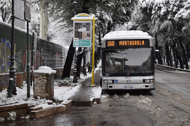 Natale 2023: il piano dei trasporti di Roma