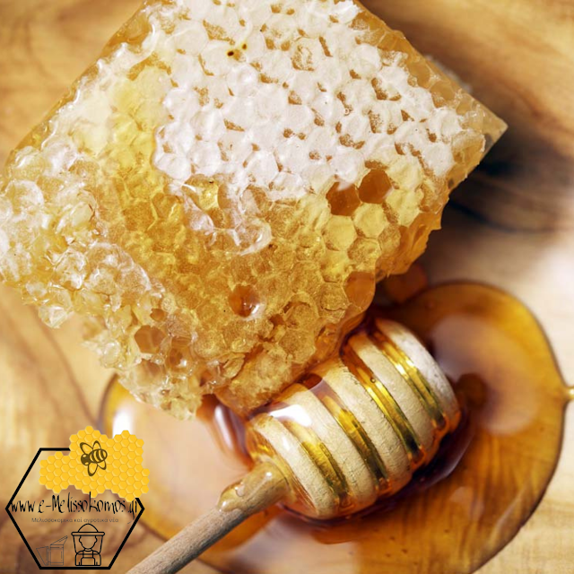 Η επιστήμη πίσω από το μέλι και τα οφέλη του για την υγεία