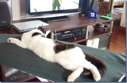 ironing 3