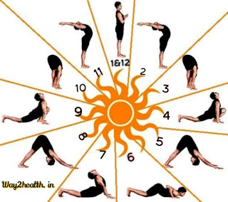 Sun Salutation steps