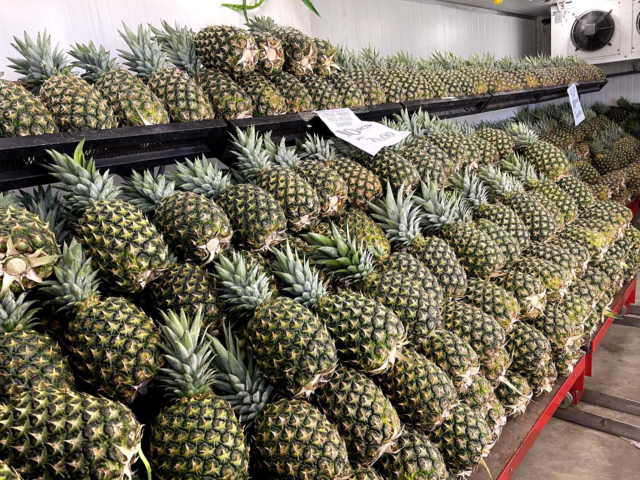 BUAH-BUAHAN SEGAR DAN MURAH DI MBG SELAYANG FRUITS HUB