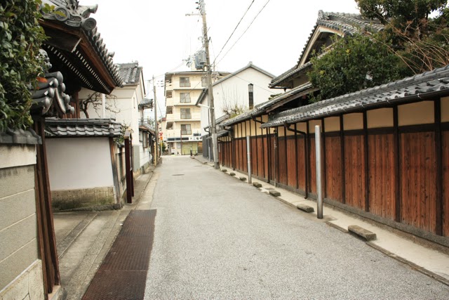 LeoPanda旅に出る