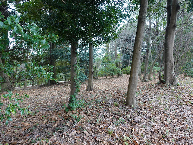 むきばんだ史跡公園　弥生の森