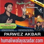 http://www.humaliwalayazadar.com/2014/10/parwez-akbar-nohay-2015.html