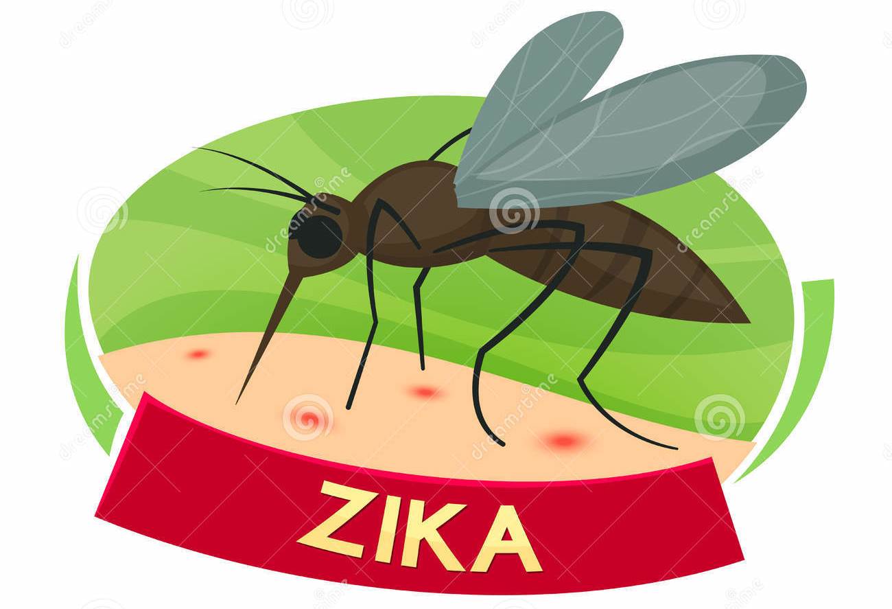 Causas del virus Zika