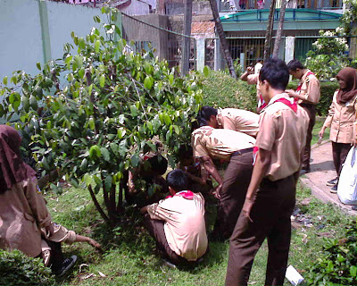 Kegiatan Penghijauan di MAN 6 Jakarta - Pramuka MAN 6 Jakarta