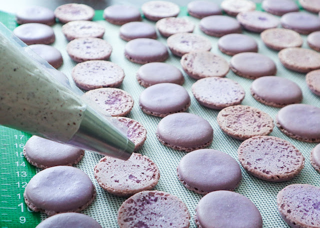 purple macarons ready for piping with buttercream bag filled with blueberry buttercream to the left. 