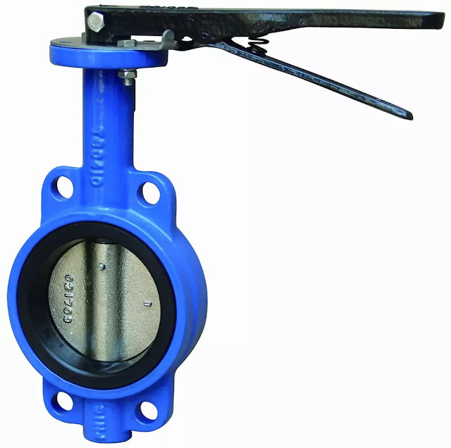 Van bướm wafer