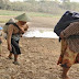 musim kemarau sulitkan orang mencari air di desa-desa