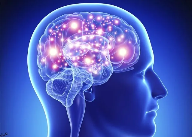 الفرق بين المخ والعقل والذهن