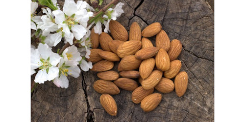  KACANG ALMOND MENYEBABKAN ASAM URAT Labuha