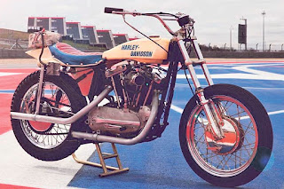 evel knievel sportster