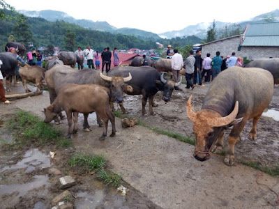 Mercado de Bac Ha, Lao Cai, Vietnam