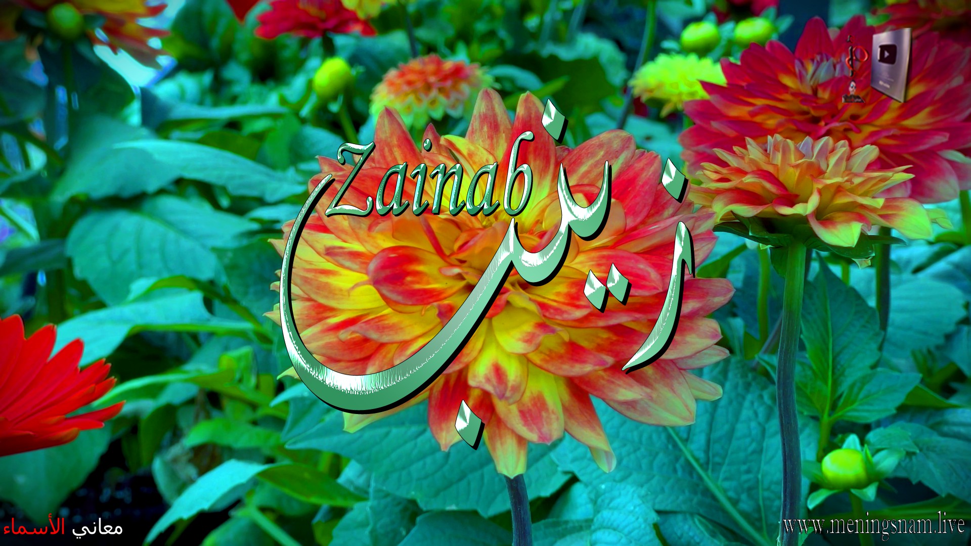 معنى اسم, زينب, وصفات, حاملة, هذا الاسم, Zainab,