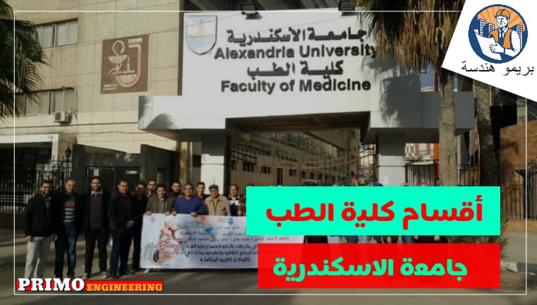 نظام الدراسة في كلية الطب جامعة الاسكندرية واقسام الكلية ومجالات