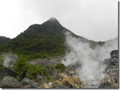 DSCN6012