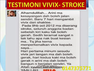 VIVIX STROKE