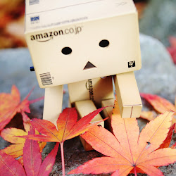 Gambar Danbo Box @ digaleri.com