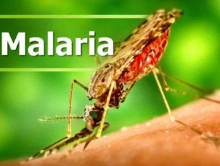 Malaria Symptoms, infection and treatment methods  Every year hundreds of thousands of people - mostly children in Africa - die from malaria, an ancient mosquito-borne epidemic, and its spread increased during the outbreak of the Corona epidemic.  The World Health Organization estimates that 627,000 people died from malaria in 2020, the latest year for which data is available, a 12% increase from 2019.  Half the world is in danger Malaria threatens half the world's population, and sub-Saharan Africa, the eastern Mediterranean, the Americas and areas in the Pacific Ocean such as Papua New Guinea and the Solomon Islands are all at risk.  Reduce the spread of disease Before 2020, the world was making steady progress in dealing with the transmission and treatment of malaria infection, especially through the use of insecticide-treated mosquito nets and effective examinations and drugs.  Its annual costs had fallen by 27% by 2017, compared to the turn of the century, while deaths had fallen by more than 50%.  And in June 2021, the World Health Organization certified that China was free of malaria, turning the page on a long battle that began in the 1940s, when the Asian country was recording 30 million cases annually.  China has not recorded any infection cases of local origin for 4 consecutive years.  Setback About 241 million malaria cases were recorded globally in 2020, 14 million more than the previous year, according to the World Health Organization.  About two-thirds of the additional deaths reported in 2020 were related to the disruption of prevention, examination and treatment measures related to malaria during the outbreak of the Corona virus.  Many patients have avoided going to hospitals, for fear of contracting Covid infection.  Malaria is a killer in Africa 95% of all malaria cases, and 96% of deaths from it, occur in sub-Saharan Africa.  Half of the reported cases worldwide were recorded in 2020 in 4 African countries: Nigeria (31.9% of the announced cases), the Democratic Republic of the Congo (13.2%), Tanzania (4.1%) and Mozambique (3.8%).  Victims of young ages Children under the age of five are the group most at risk from the disease. In 2020, about 80% of all malaria deaths on the African continent occurred in this age group.  Malaria symptoms Symptoms of malaria include: heat, headache and muscle aches, followed by waves of cold, heat and sweating.  5 types of parasites 5 types of parasites cause malaria in humans, all transmitted through the bites of an infected female mosquito. A parasite called Plasmodium falciparum causes the most deaths.  Treatments Several preventative treatments are available that can help reduce disease severity, avoid death and reduce transmission.  The World Health Organization says that the best, especially for P. falciparum, is the artemisinin-based combination therapy.  Preventive treatments are also highly recommended for pregnant women, infants living in high-risk areas, and travelers going to these areas. Insecticide-treated bed nets are also a cheap and effective protective shield.  Vaccines In October 2021, the World Health Organization recommended "widespread use" of the world's first child malaria vaccine in sub-Saharan Africa, after it conducted a review of a pilot program in Ghana, Kenya and Malawi.  Studies have shown that the RTS,S vaccine, manufactured by the British pharmaceutical giant GlaxoSmithKline, significantly reduced the death among children due to the infection of the parasite Plasmodium falciparum, the most prevalent in Africa.  More than one million children in Ghana, Kenya and Malawi have so far received at least one dose of the vaccine, the World Health Organization announced Thursday.  Source : French