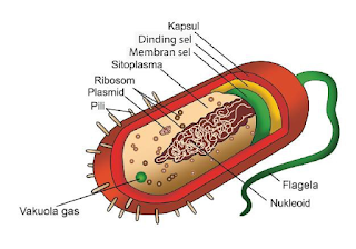 Keterangan gambar dan Fungsinya