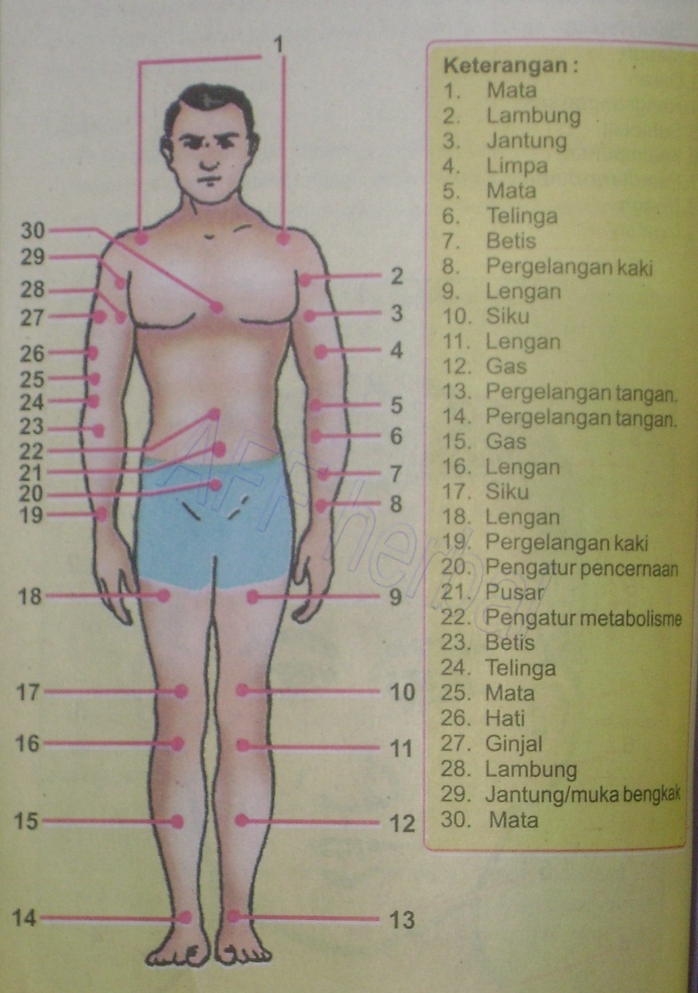 Fungsi beberapa titik refleksi dan mengenal titik refleksi 