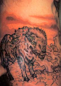 Buffalo Tattoo