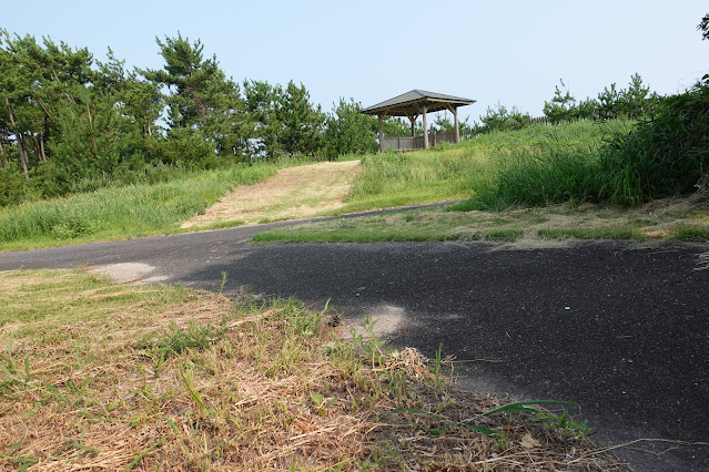 米子東病院の裏の松林公園