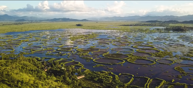 Loktak Lake Phumdis