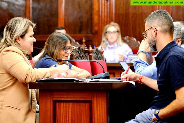 El PSOE lamenta que la pereza del Gobierno municipal frena la aprobación de los Presupuestos de Los Llanos de Aridane