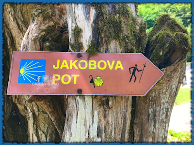 Jakobova pot - Camino Slovenija