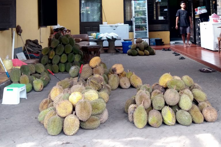 Durian Sinapeul Majalengka