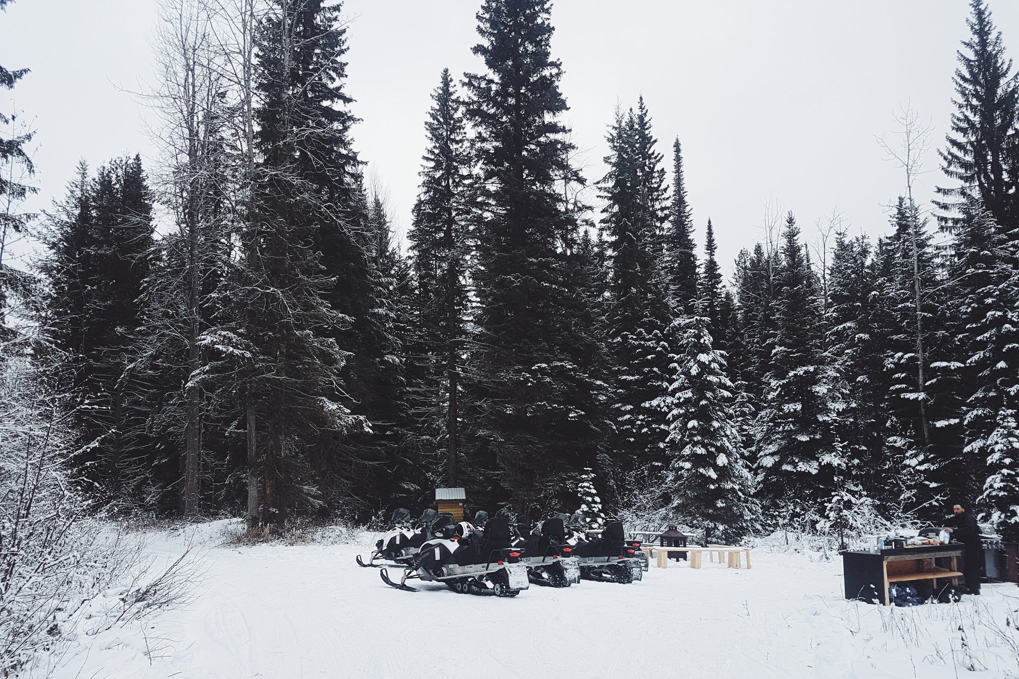 Full Day Kicking Horse Snowmobile Tour By Rocky Mountain Riders