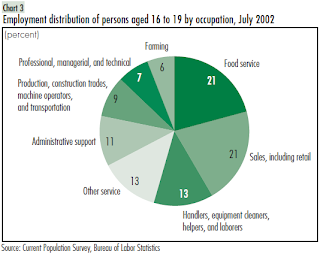 Employment Distribution of Persons Aged 16 to 19 by Occupation, July 2002