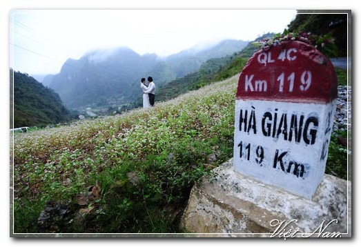 Cảnh Đẹp Việt Nam
