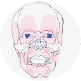 Muscles of the human face.