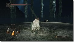 DarkSoulsII 2017-01-10 16-00-25-42