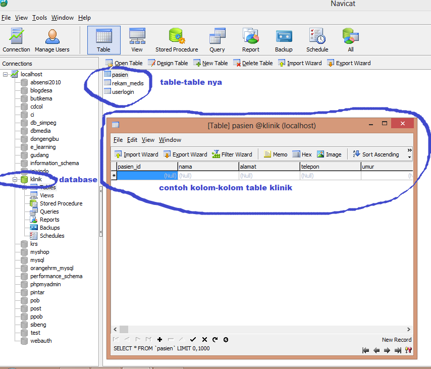 Pengertian Database ~ Mudah Belajar Komputer