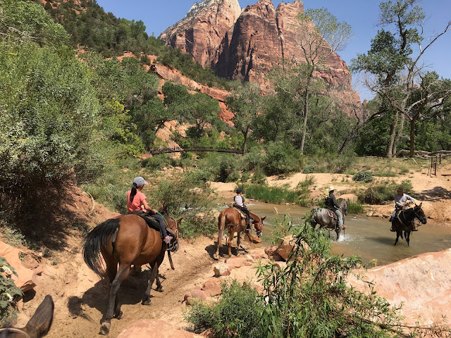 zion canyon trail rides horseback