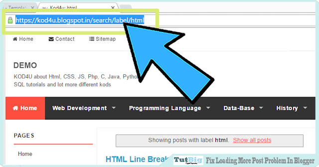 Fix Loading More Post Problem In Blogger  How to Fix Loading More Post Problem In Blogger