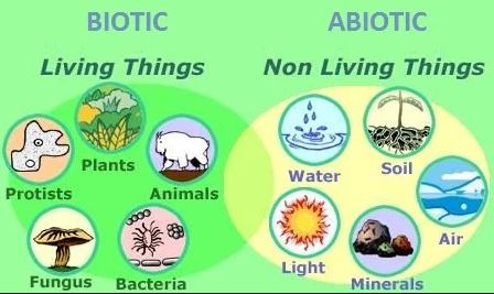 apa yang dimaksud dengan abiotik