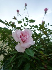 P1060892
